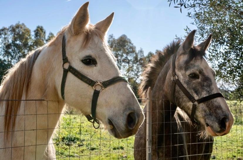 Casa Provence Family & Friends Mare & Natura Alguer Exterior foto